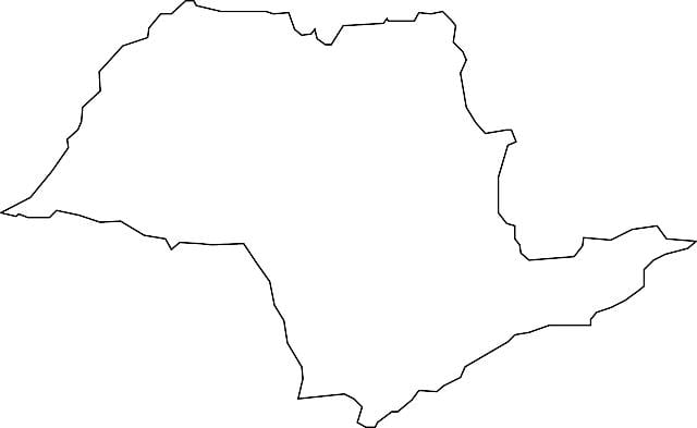Mappa di São Paulo vettoriale